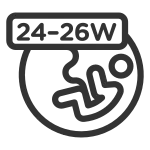 Pregnant 2426w SVG Icon